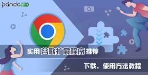 如何在谷歌浏览器中使用扩展程序？新手必看教程 