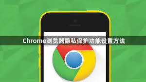 谷歌浏览器隐私设置与数据保护技巧全面解析 