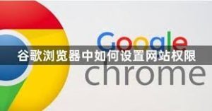 谷歌浏览器网站权限设置教程，新手也能快速掌握 