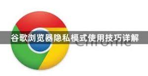 谷歌浏览器隐私模式与普通模式区别详解 